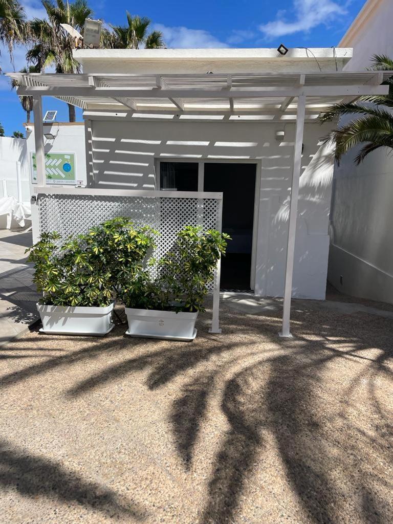 Apartamentos Punta Elena Beach Corralejo Dış mekan fotoğraf