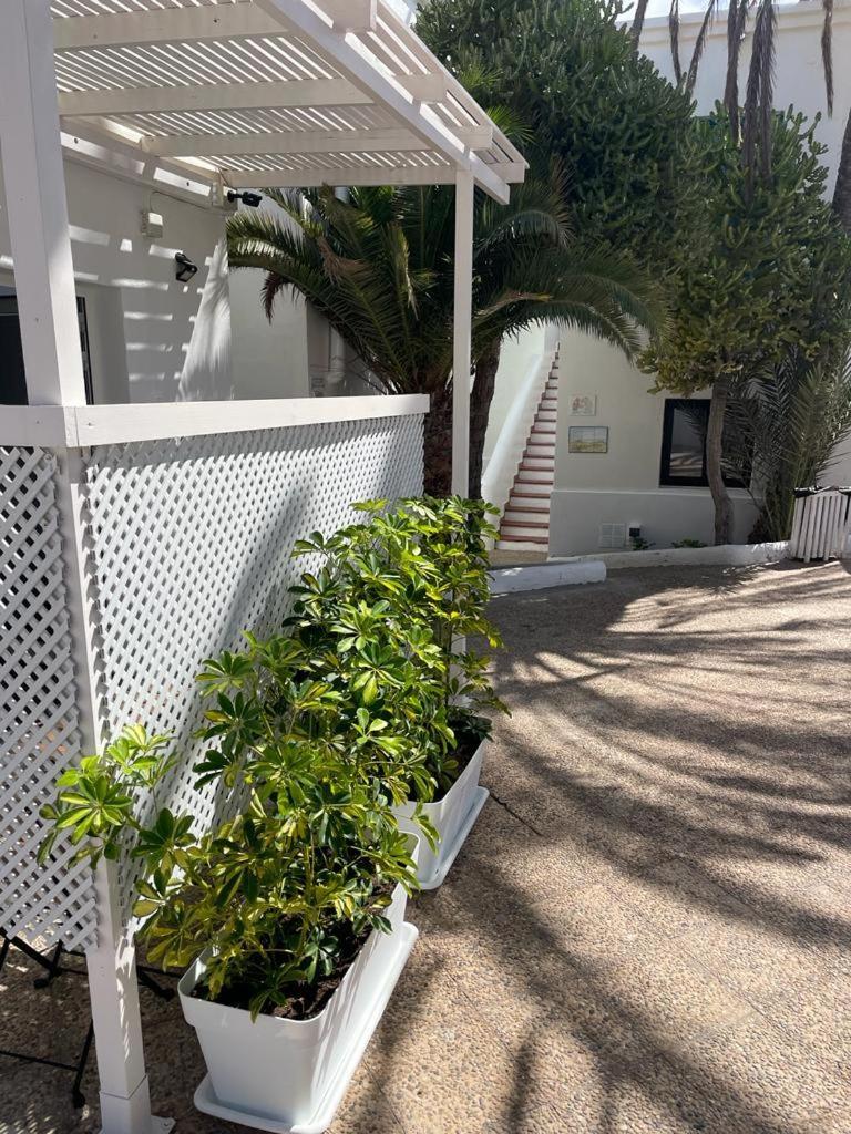 Apartamentos Punta Elena Beach Corralejo Dış mekan fotoğraf